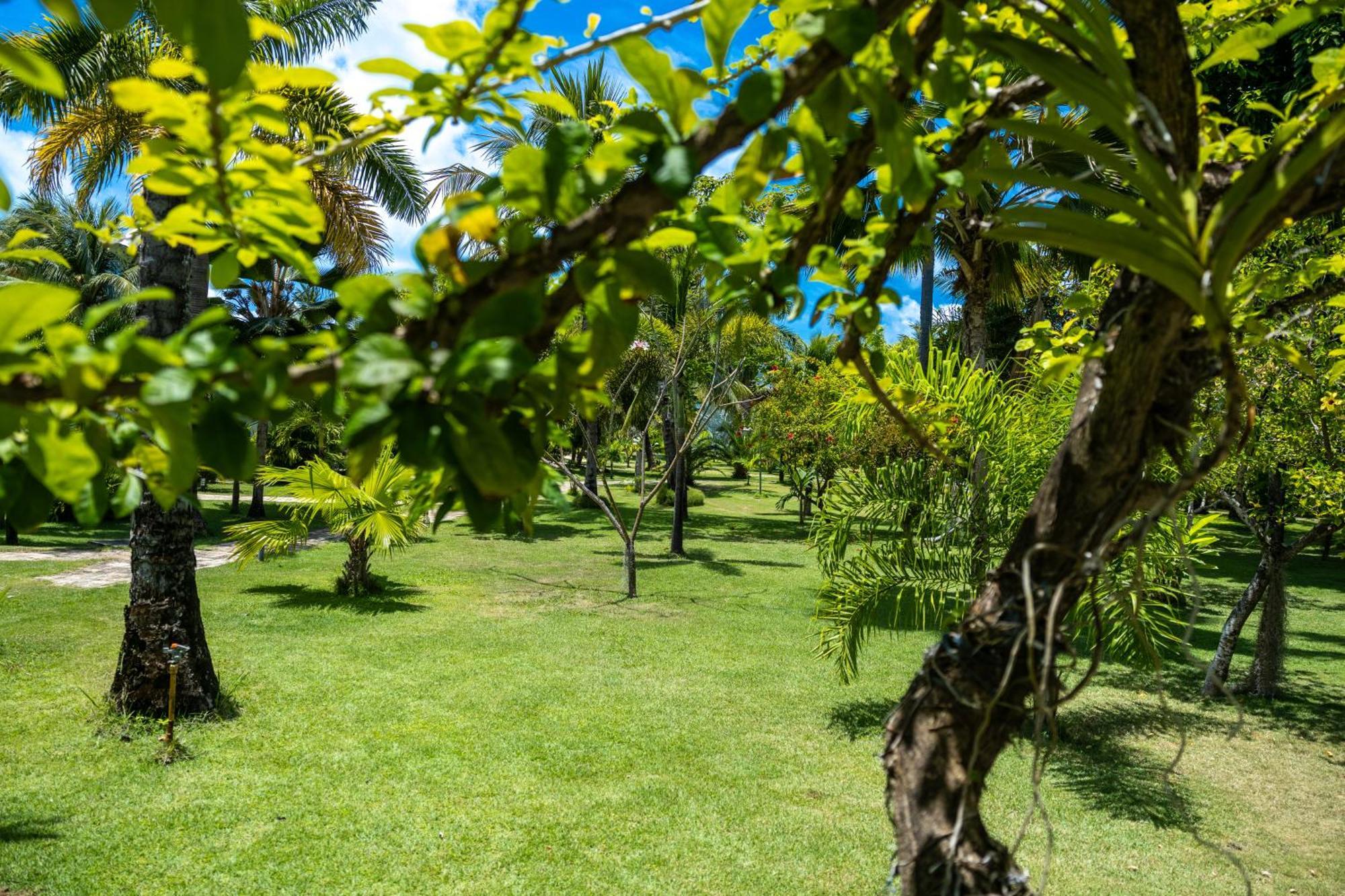 Pousada Aldeia Beijupira Pôrto de Pedras Buitenkant foto