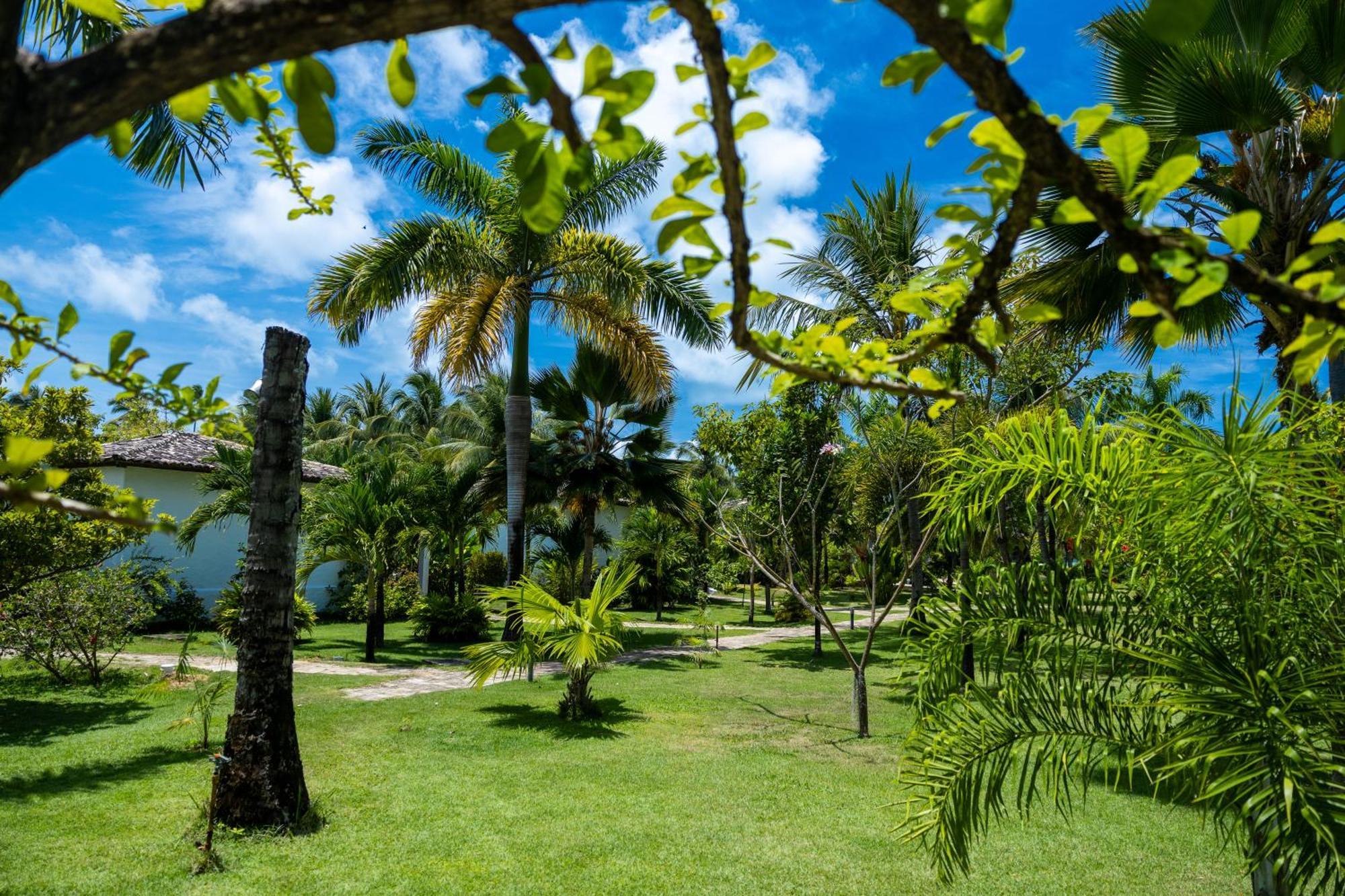 Pousada Aldeia Beijupira Pôrto de Pedras Buitenkant foto